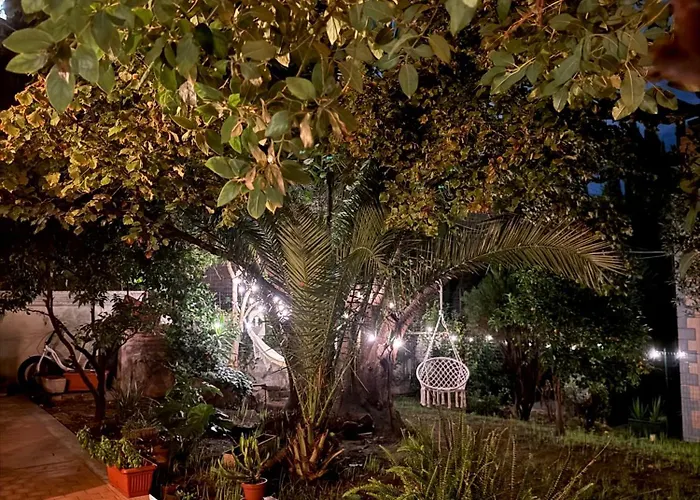 Urban Oasis *
